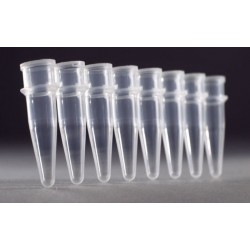 0.2 mL PCR Strip Tubes