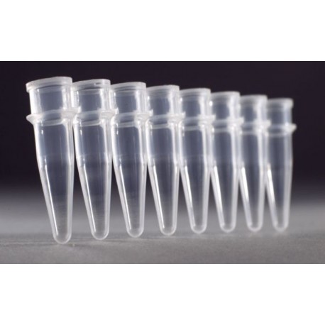 0.2 mL PCR Strip Tubes