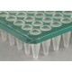 Adhesive PCR Seal