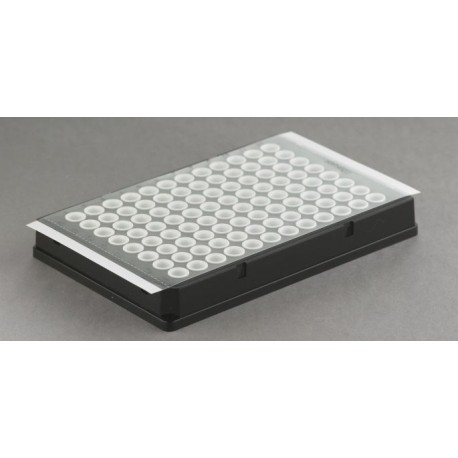 qPCR Plate Seal