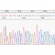 DNA sequencing buffers