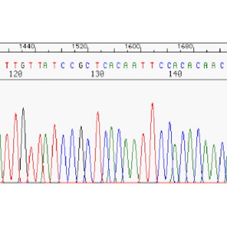 DNA sequencing buffers